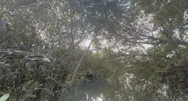 Río Yeltes — Castraz, Salamanca