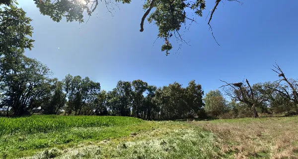 Campo de Castraz — Castraz, Salamanca