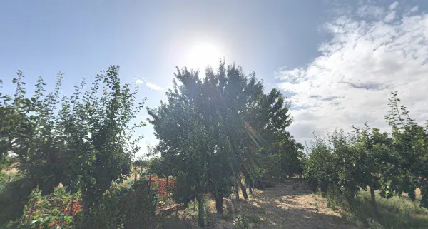 Campo Castellanos — Castellanos de Moriscos, Salamanca